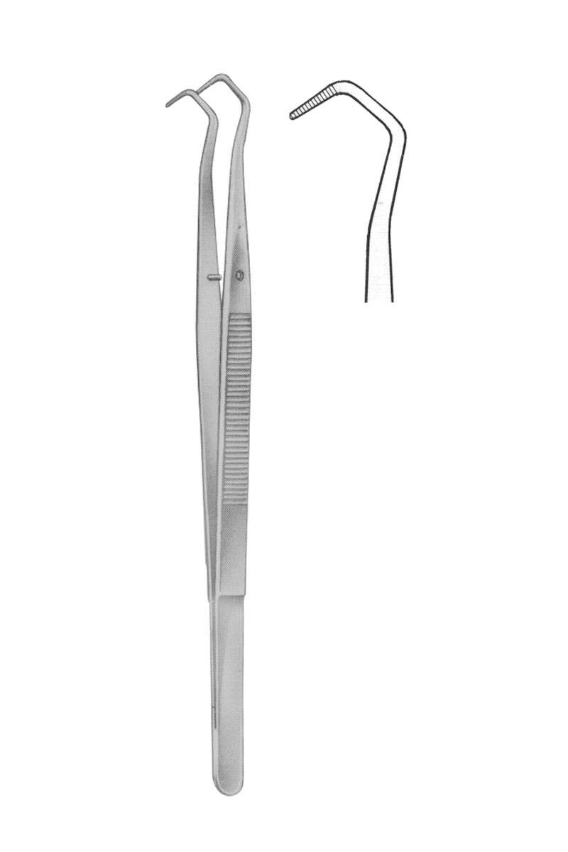 Dental Tweezers